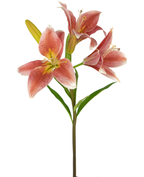 Greenmoods Kunstig Asiatisk Lilje Rosa 66cm Greenmoods Kunstig Asiatisk Lilje Rosa 66cm