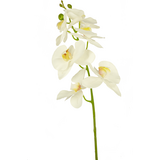 Greenmoods Kunstig Blomst Orkidé Hvit 84cm Greenmoods Kunstig Blomst Orkidé Hvit 84cm