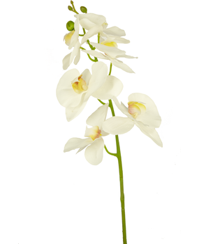 Greenmoods Kunstig Blomst Orkidé Hvit 84cm Greenmoods Kunstig Blomst Orkidé Hvit 84cm