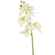 Greenmoods Kunstig Blomst Orkidé Hvit 84cm