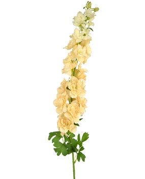 Greenmoods Kunstig Blomst Delphinium Fersken 105cm Greenmoods Kunstig Blomst Delphinium Fersken 105cm