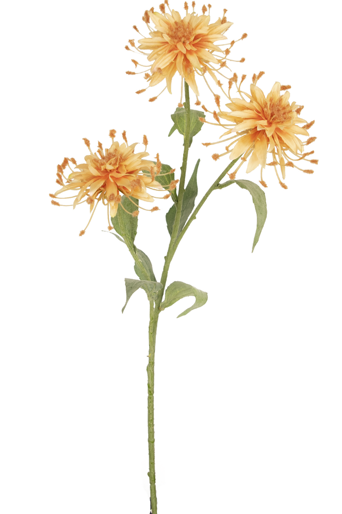 Greenmoods Kunstig Scabiosa Stilk Fersken 70cm