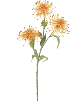 Greenmoods Kunstig Scabiosa Stilk Fersken 70cm Greenmoods Kunstig Scabiosa Stilk Fersken 70cm