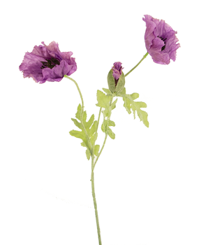 Greenmoods Kunstig Valmue Syrin 73cm Greenmoods Kunstig Valmue Syrin 73cm