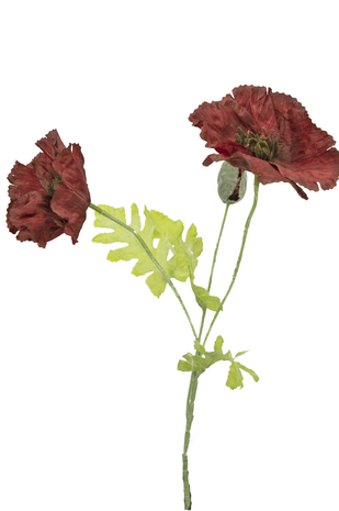 Greenmoods Kunstig Valmue Burgunder 73cm