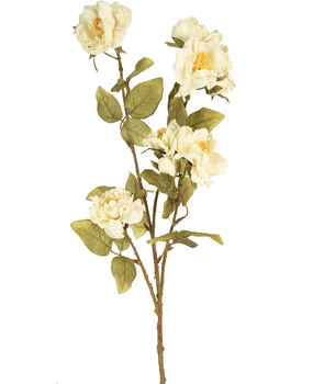 Greenmoods Kunstig Rosegren Krem/Hvit 68cm