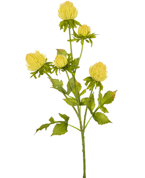 Greenmoods Kunstig Tistel Krem 66cm Greenmoods Kunstig Tistel Krem 66cm