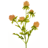 Greenmoods Kunstig Tistel Fersken 66cm Greenmoods Kunstig Tistel Fersken 66cm