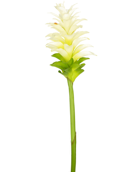 Greenmoods Kunstig Blomst Gurkemeie 80cm Greenmoods Kunstig Blomst Gurkemeie 80cm