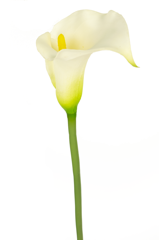 Greenmoods Kunstig Lilje Hvit 76cm