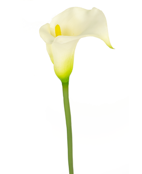 Greenmoods Kunstig Lilje Hvit 76cm