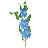Greenmoods Kunstig blomst Clematis stor 81 cm blå Greenmoods Kunstig blomst Clematis stor 81 cm blå