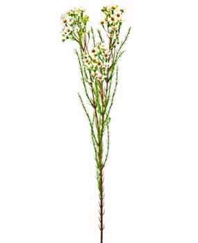 Greenmoods Kunstig gren Voksblomst 78 cm krem Greenmoods Kunstig gren Voksblomst 78 cm krem