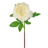 Greenmoods Kunstig Peon Hvit 61cm