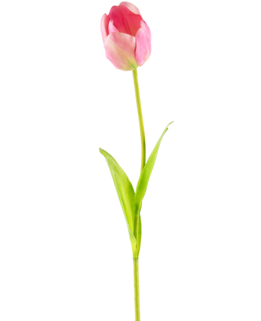 Greenmoods Kunstig blomst Fransk Tulipan 60 cm rosa
