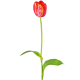 Greenmoods Kunstig blomst Fransk Tulipan 60 cm rød Greenmoods Kunstig blomst Fransk Tulipan 60 cm rød