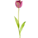 Greenmoods Kunstig blomst Fransk Tulipan 60 cm lilla