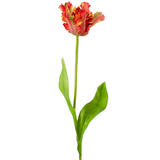 Greenmoods Kunstig blomst Fransk Parakeet Tulipan 76 cm rød/gul Greenmoods Kunstig blomst Fransk Parakeet Tulipan 76 cm rød/gul