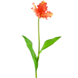 Greenmoods Kunstig blomst Fransk Parakeet Tulip 76 cm korall Greenmoods Kunstig blomst Fransk Parakeet Tulip 76 cm korall