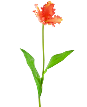 Greenmoods Kunstig blomst Fransk Parakeet Tulip 76 cm korall Greenmoods Kunstig blomst Fransk Parakeet Tulip 76 cm korall