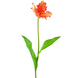 Greenmoods Kunstig blomst Fransk Parakeet Tulip 76 cm korall