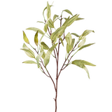 Greenmoods Kunstig gren Eucalyptus Niphophila 100 cm grønn Greenmoods Kunstig gren Eucalyptus Niphophila 100 cm grønn