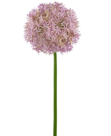 Greenmoods Kunstig blomst Allium Large 80 cm lilla
