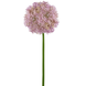 Greenmoods Kunstig blomst Allium Large 80 cm lilla