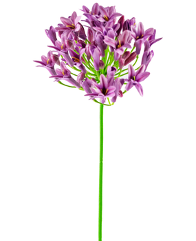 Greenmoods Kunstig blomst Agapanthus 75 cm lilla Greenmoods Kunstig blomst Agapanthus 75 cm lilla