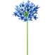 Greenmoods Kunstig Agapanthus blomst blå 75cm
