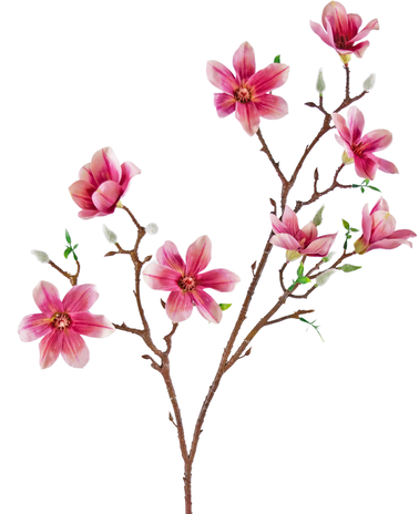 Greenmoods Kunstig gren Magnolia liten blomstret 89 cm rosa