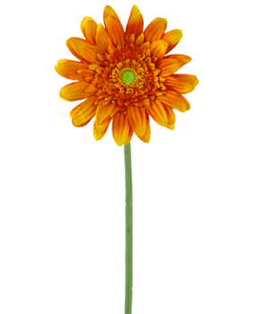 Greenmoods Kunstig Gerbera Oransje 53cm