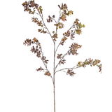 Greenmoods Kunstig gren Eucalyptusbær 105 cm brun Greenmoods Kunstig gren Eucalyptusbær 105 cm brun