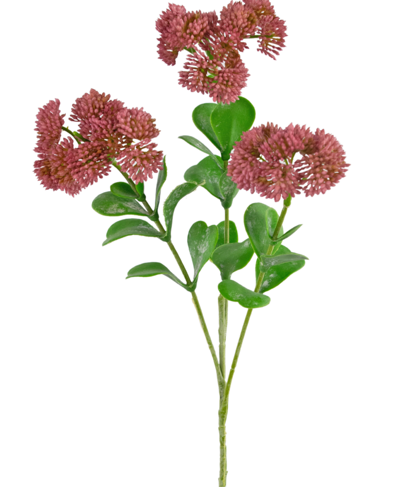 Greenmoods Kunstig gren Sedum 56 cm rosa