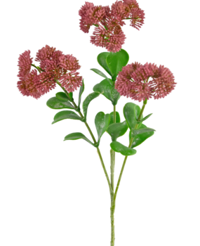 Greenmoods Kunstig gren Sedum 56 cm rosa
