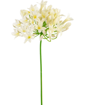 Greenmoods Kunstig blomst Agapanthus 75 cm hvit Greenmoods Kunstig blomst Agapanthus 75 cm hvit