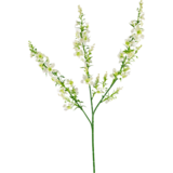 Greenmoods Kunstig blomst Kattemynte 75 cm hvit Greenmoods Kunstig blomst Kattemynte 75 cm hvit