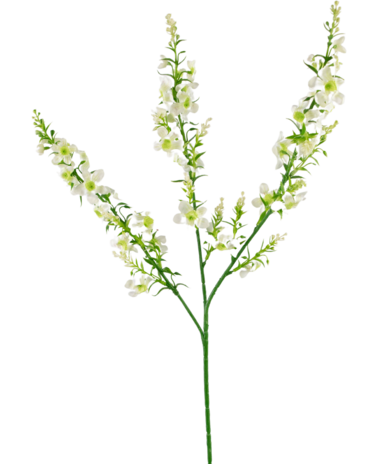 Greenmoods Kunstig blomst Kattemynte 75 cm hvit