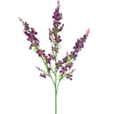 Greenmoods Kunstig Kattemynte Lilla 75cm Greenmoods Kunstig Kattemynte Lilla 75cm