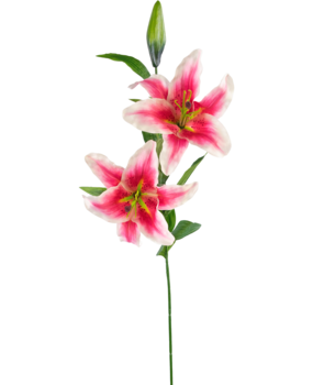 Greenmoods Kunstig blomst Lilje 85 cm rosa Greenmoods Kunstig blomst Lilje 85 cm rosa