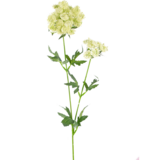 Greenmoods Kunstig blomst Blondeblomst 76 cm hvit Greenmoods Kunstig blomst Blondeblomst 76 cm hvit