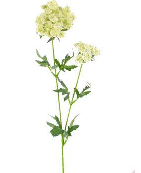 Greenmoods Kunstig blomst Blondeblomst 76 cm hvit