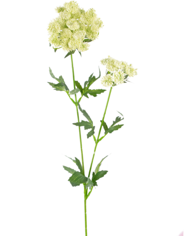 Greenmoods Kunstig blomst Blondeblomst 76 cm hvit