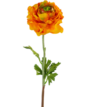 Greenmoods Kunstig blomst Ranunculus 51 cm mørkegul Greenmoods Kunstig blomst Ranunculus 51 cm mørkegul
