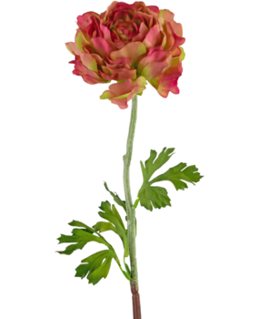 Greenmoods Kunstig blomst Ranunculus 51 cm rosa/grønn