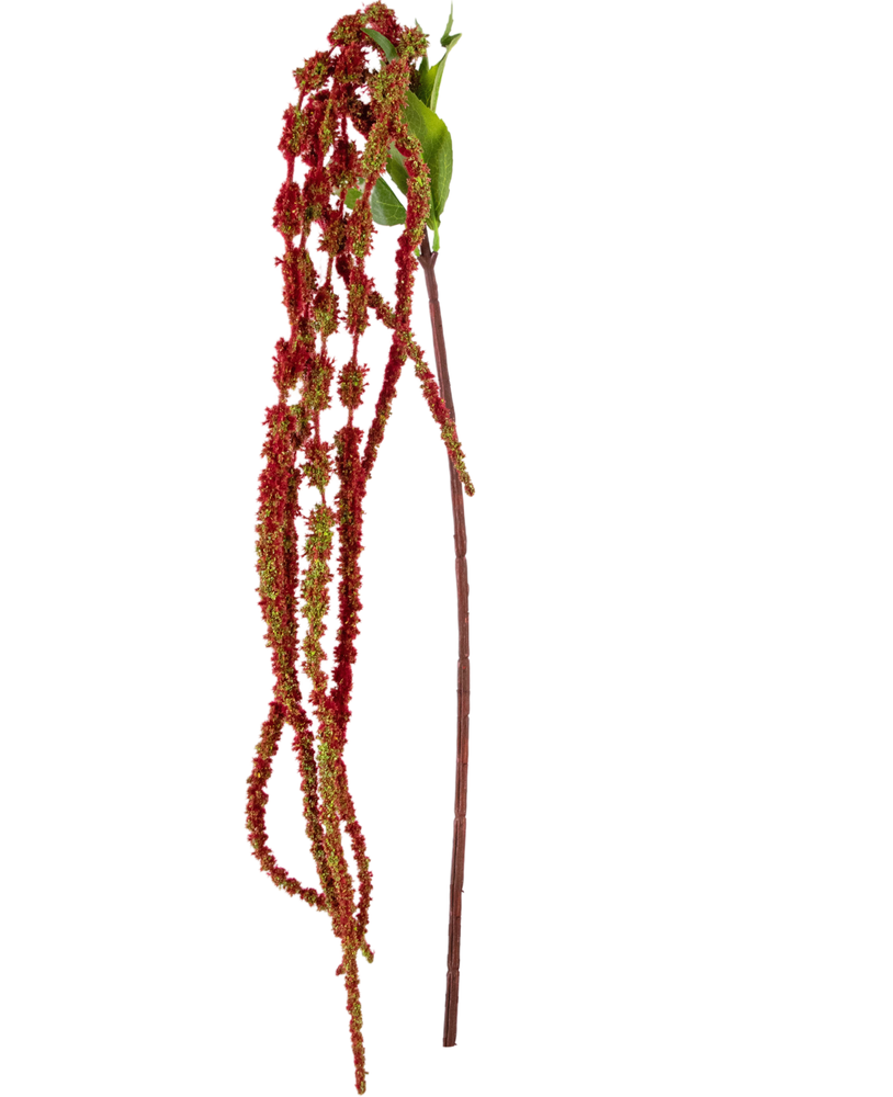 Greenmoods Kunstig blomst Amaranthus 122 cm vinrød