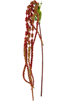 Greenmoods Kunstig blomst Amaranthus 122 cm vinrød