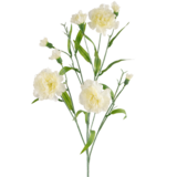 Greenmoods Kunstig blomsternellik Hvit 70cm Greenmoods Kunstig blomsternellik Hvit 70cm