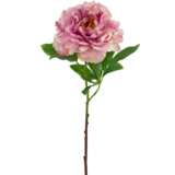 Greenmoods Kunstig blomst Peon Lys rosa 61cm Greenmoods Kunstig blomst Peon Lys rosa 61cm