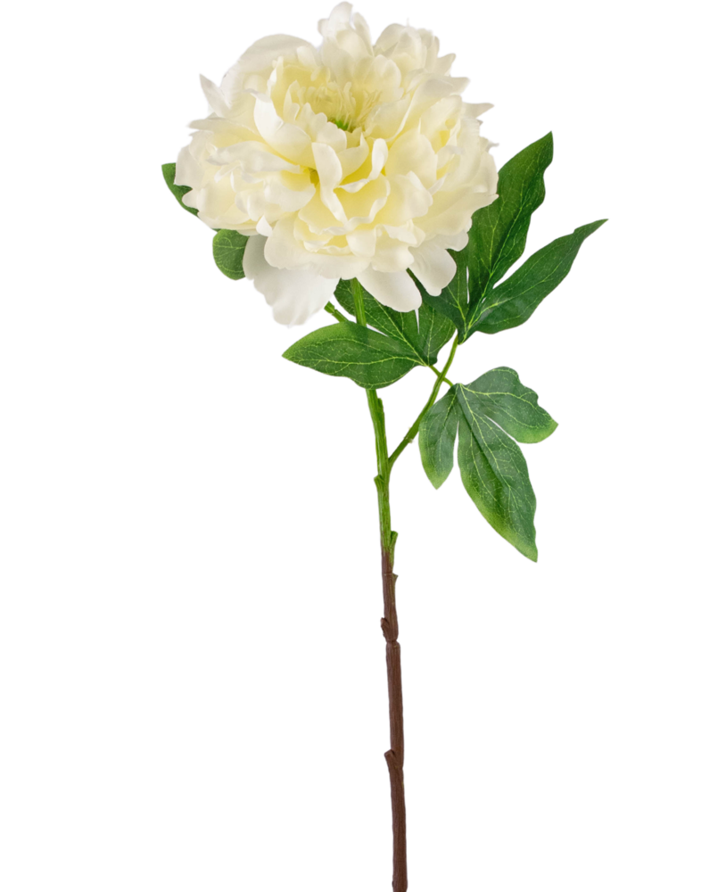 Greenmoods Kunstig blomst Peon Hvit 61cm